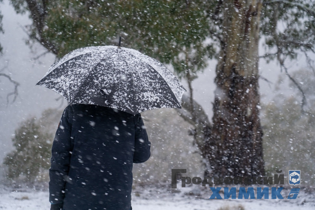 Похолодание резкое.jpeg